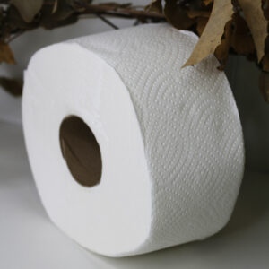 Туалетная бумага Джамбо, целлюлозная белая, 2 слоя (60 м) TJ036