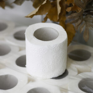Туалетная бумага "Horeca Good Trade" целлюлозная, белая, 2 слоя, 10м, 18 рул/уп